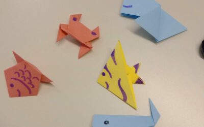 Laboratorio di origami