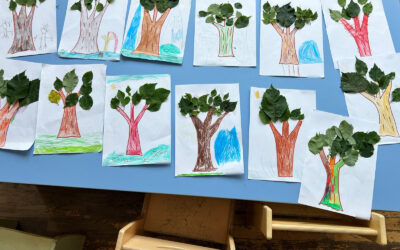 I nostri alberi speciali!