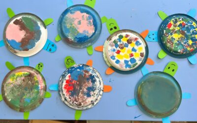 Le tartarughe delle Stelle Marine!